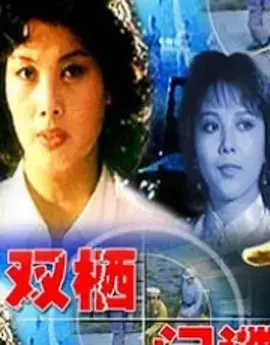 《双栖间谍》深度解析：身份迷局下的爱与背叛，谁才是真正的赢家？