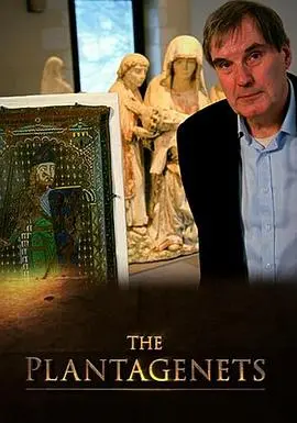 《金雀花王朝》：权力、欲望与亲情的史诗悲歌，血染的王冠！