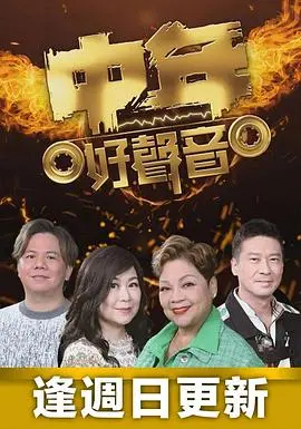 《中年好声音》：宝刀未老，声动全城！中年人的音乐梦想，再次闪耀舞台！